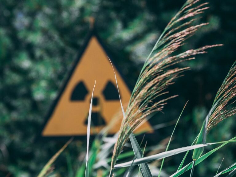 Grüne erinnern an den GAU von Tschernobyl