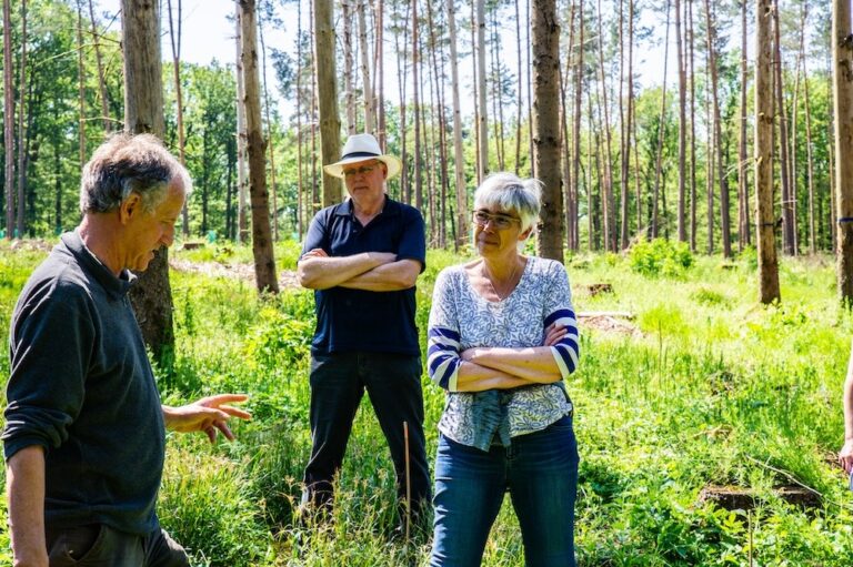 Waldexkursion der GRÜNEN im Stadtwald Gemünden mit MdEP Jutta Paulus